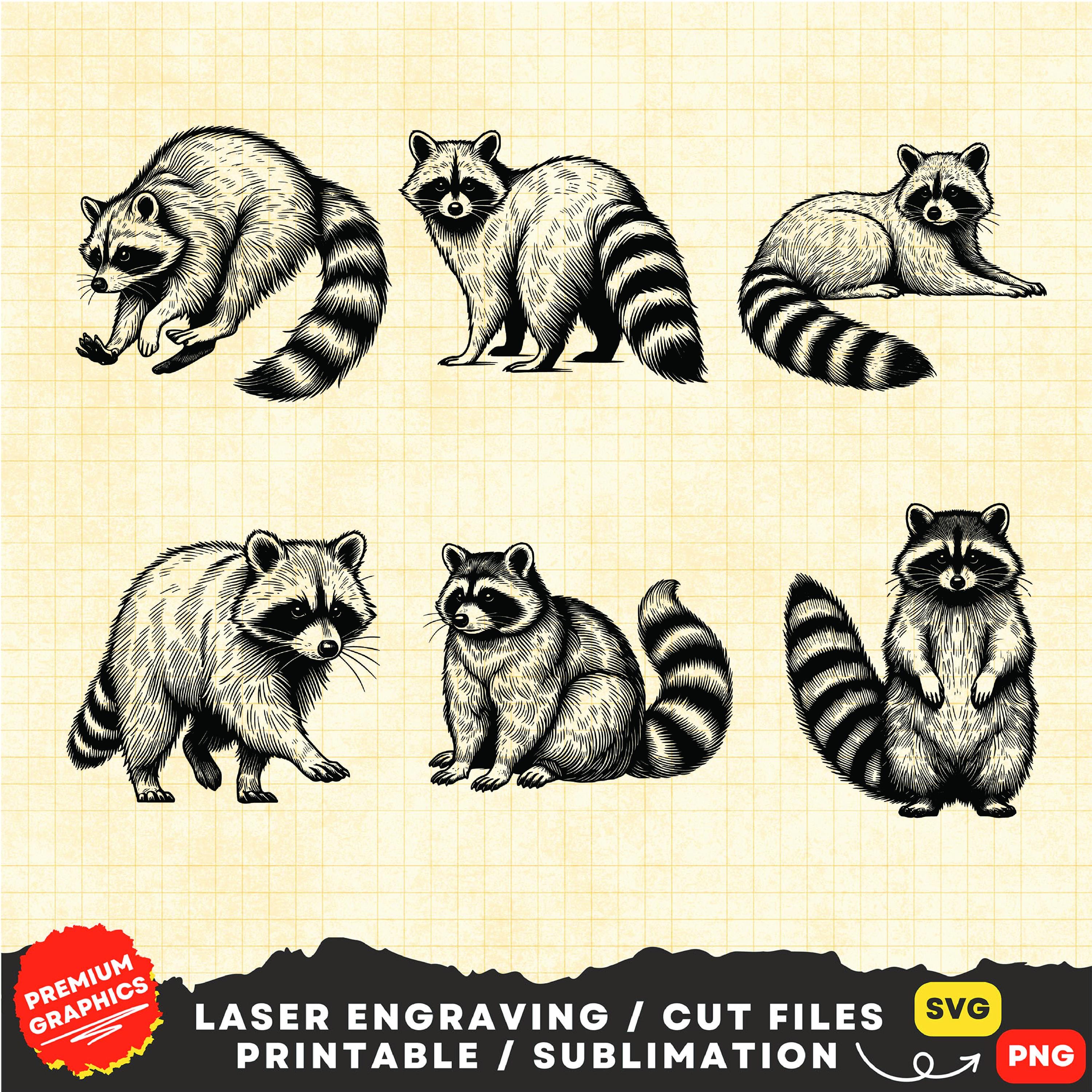 30 Raccoon SVG, Raccoon Png, Clipart Raccoon, Raccoon Silhouette ...