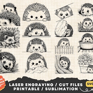 Pacote de ouriço espreitando, ouriço fofo, ouriço engraçado, arquivos de corte a laser de ouriço, silhueta de ouriço, cena de ouriço espreitando clipart vetorial