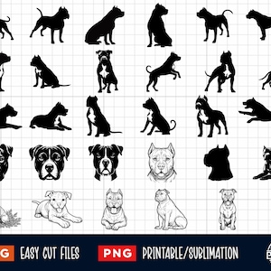 30 Pitbull Svg Bundle, Pitbull Svg Disposition, Pitbull Svg, Pitbull Huvud Svg, Pitbull Klippfil, Pitbull Silhuett, Pitbull Vektor Cricut Print