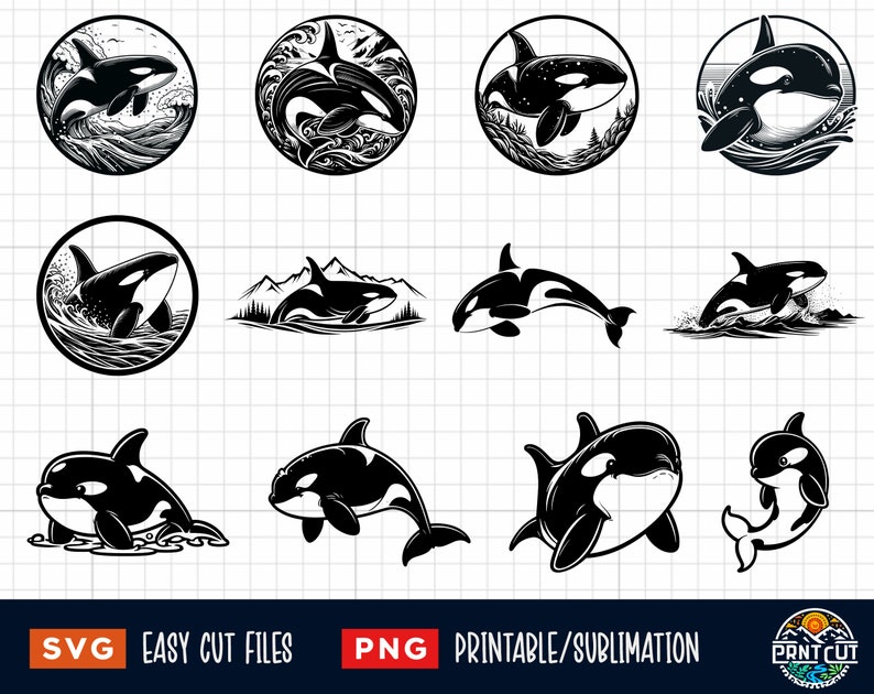 25 Orca Svg, Orca Png, Orca Coloring Page, Orca Cut File, Orca silhouette, Orca Clipart, Orca Vector, Whale Clip Art, Killer Whale Svg Png image 2
