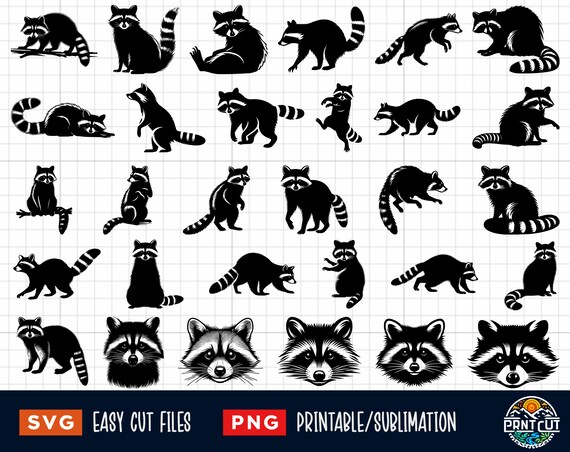 30 Raccoon SVG Bundle, Raccoon Svg, Raccoon Head Svg, Raccoon Png, Clipart Racoon, Raccoon Cut File, Raccoon Silhouette, Raccoon Clipart