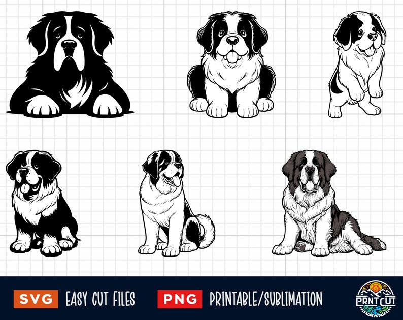 30 Saint Bernard Svg Png Bundle, St Bernard Svg, St Bernard Png, St Bernard Cut File, St Bernard ...