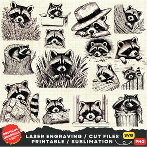 Lot de raton laveur SVG, Svg de raton laveur furtivement, Svg de raton laveur drôle, tête de raton laveur Svg, Svg de visage de raton laveur, raton laveur découpé au Laser fichier Silhouette Clipart