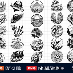 25 bundle SVG scena coccinella, coccinella Svg Png, fiore coccinella svg, coccinella Svg Png, file tagliati al laser coccinella, stampa clipart coccinella sagoma
