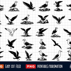 30 Seagull SVG Bundle, Seagull Svg, Seagull Png, Sea bird Svg Png, Seagull Cut File, Seagull silhouette, Seagull Clipart, Seagull Vector