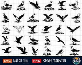 30 Seagull SVG Bundle, Seagull Svg, Seagull Png, Sea bird Svg Png, Seagull Cut File, Seagull silhouette, Seagull Clipart, Seagull Vector