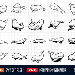 30 Beluga SVG Bundle, Beluga Svg Png, Beluga Coloring Page, Beluga Cut File, Beluga silhouette, Beluga Clipart, Beluga Vector, Beluga Cricut