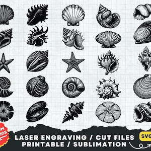 25 Seashell Svg Bundle, Seashell Svg, Seashell Png Clipart, Seashell Silhouette, Seashell laser Cut, shell Svg, Ocean Svg, Beach Svg,Sea Svg