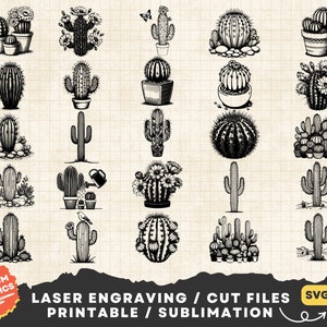 Paquete de cactus svg, escena de cactus svg, clipart cactus png, impresión de cactus, archivo de corte láser de cactus, silueta de cactus, plantas de flores de cactus svg