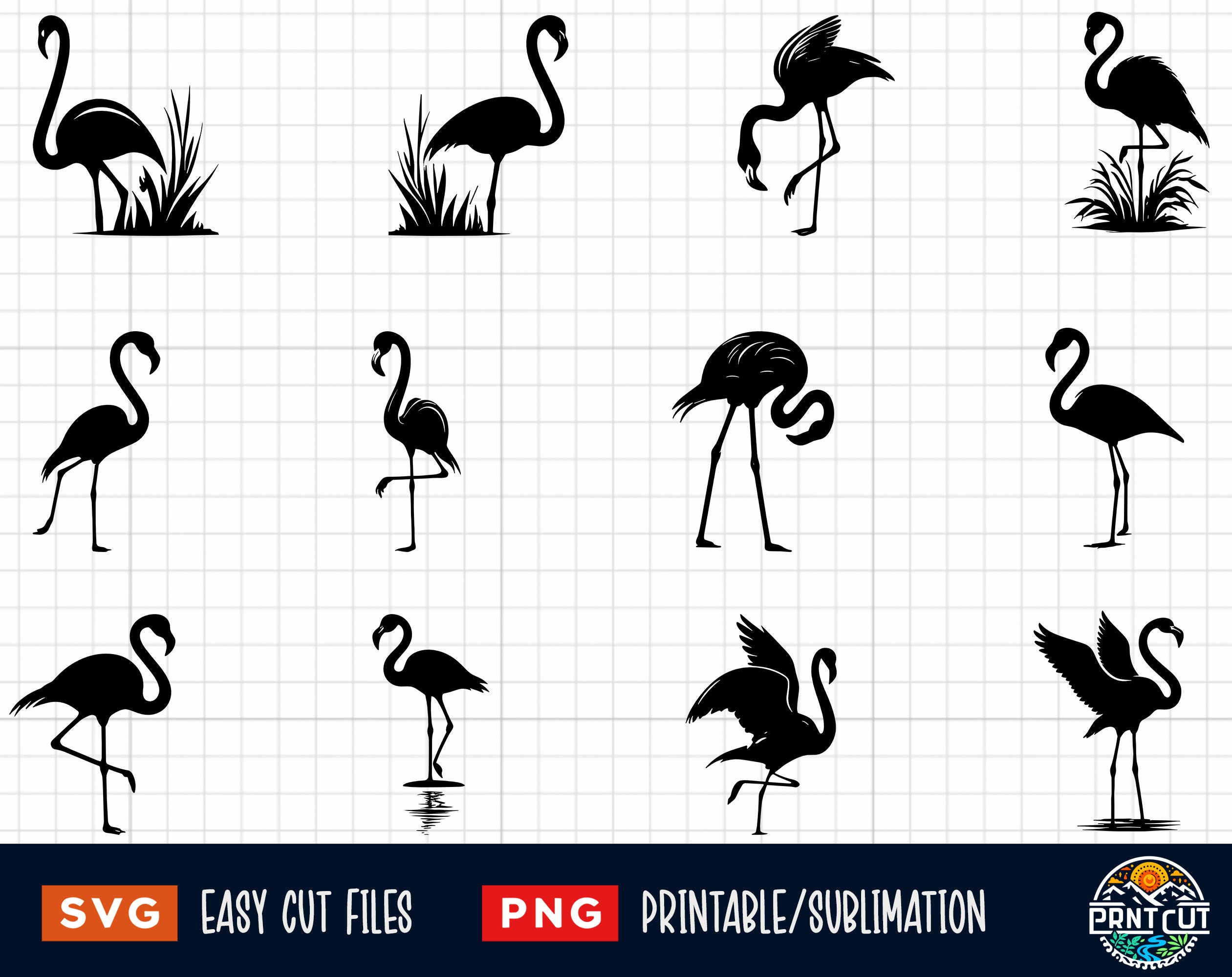 Flamingo Bundle, Flamingo Svg, Flamingo Png, Flamingos Svg Png