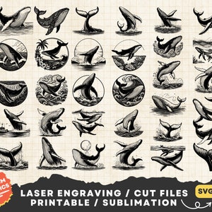 32 Humpback Whale Svg Bundle, Whale Tail Svg, Clipart Humpback Whale Png Print, Humpback Whale Laser Cut File, Whale svg, Ocean Whale Svg