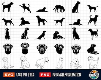 30 Labrador SVG Bundle, Labrador Svg, Labrador Png, Labrador Dog Svg Png, Labrador Head Svg, Labrador silhouette, Labrador Clipart, Dog Svg
