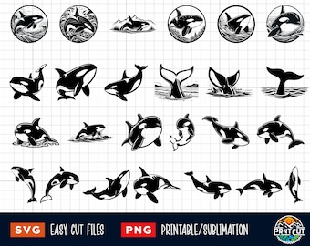 25 Orca Svg, Orca Png, Orca Coloring Page, Orca Cut File, Orca silhouette, Orca Clipart, Orca Vector, Whale Clip Art, Killer Whale Svg Png
