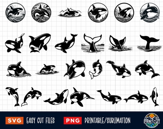 25 Orca Svg, Orca Png, Orca Coloring Page, Orca Cut File, Orca silhouette, Orca Clipart, Orca Vector, Whale Clip Art, Killer Whale Svg Png