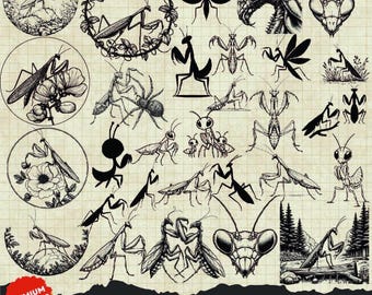 30 PRAYING MANTIS Svg, Mantis Svg, Praying Mantis Png, Praying Mantis Clipart, Praying Mantis Laser Cut File, Mantis Silhouette, Insect svg