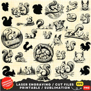 30 Bundle Svg écureuil, Svg écureuil, Silhouette écureuil, Clipart Png écureuil, tête d'écureuil visage Svg, écureuil Coupe laser fichiers Cricut