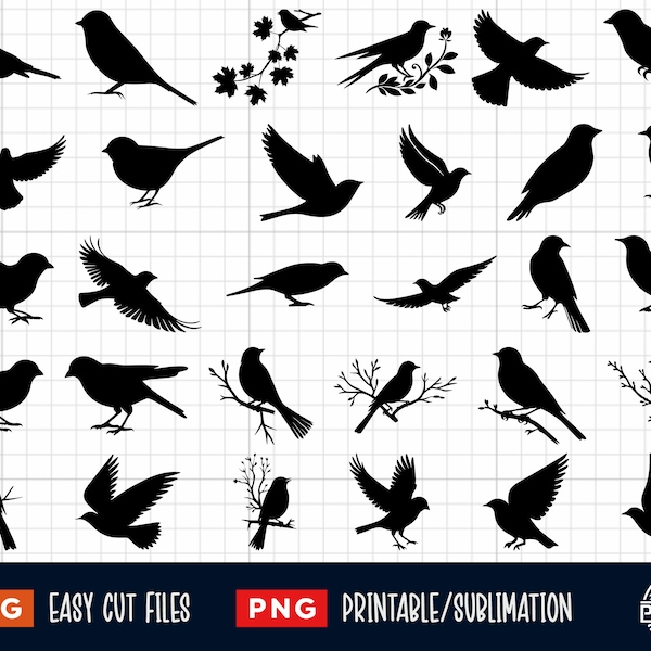 30 Birds SVG Bundle, Bird Svg, Bird Png, Birds Svg Png, Bird Cut File, Bird Silhouette, Bird Clipart, Bird On Branch Svg, Bird On Tree Svg