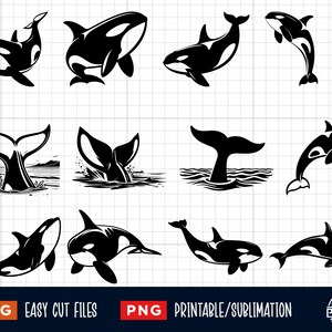 25 Orca Svg, Orca Png, Orca Coloring Page, Orca Cut File, Orca silhouette, Orca Clipart, Orca Vector, Whale Clip Art, Killer Whale Svg Png image 3