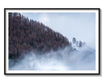 Mystic Canopy Summit: French Mountain Base Veiled in Clouds and Old Trees (Framed Landscape Photography Print)