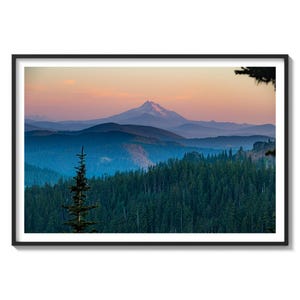 May include: A panoramic view of a mountain range with a snow-capped peak in the distance. The foreground features a dense forest of evergreen trees, with a single tree in the center standing out against the blue and purple hues of the sky.