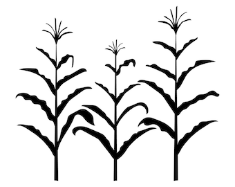 Corn Stalks Clip Art PNG and JPG
