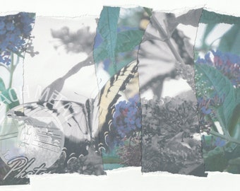 Fractured Photomontage - Hand Torn Artwork - Swallowtails 2