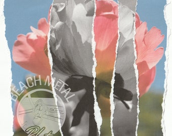 Fractured Photomontage - Hand Torn Artwork - Peony Bloom