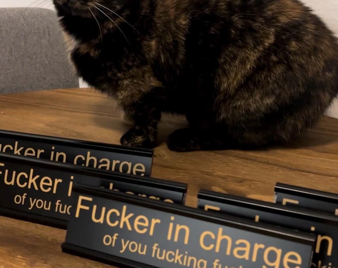 F*cker in Charge - Laser Engraved Funny Desk Name Plate Fun Gag Gift - Etsy