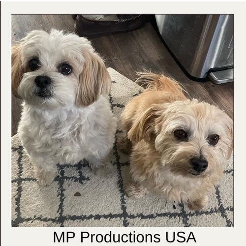 MPProductionsUSA - Etsy