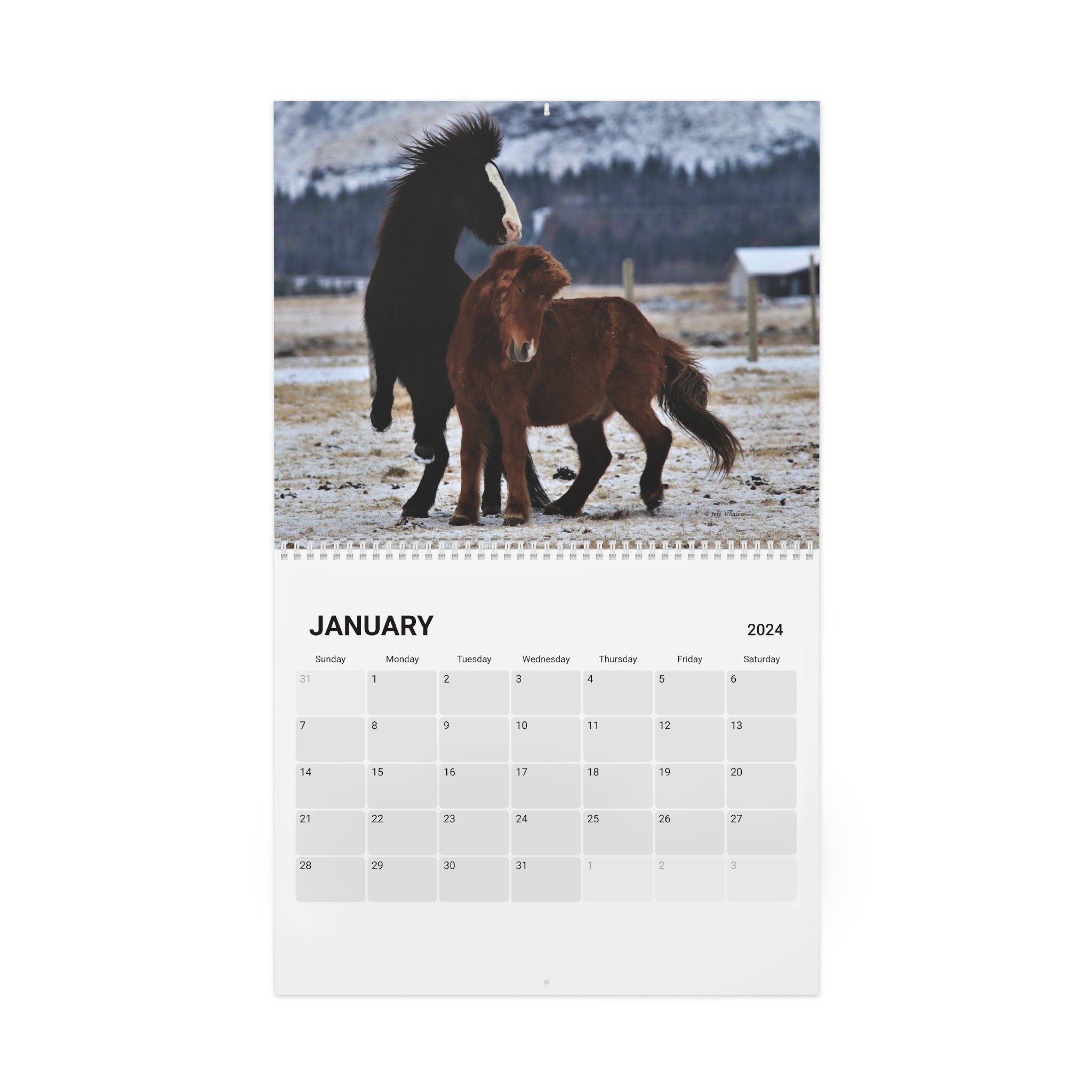 Icelandic Horses Calendar 2024 Etsy