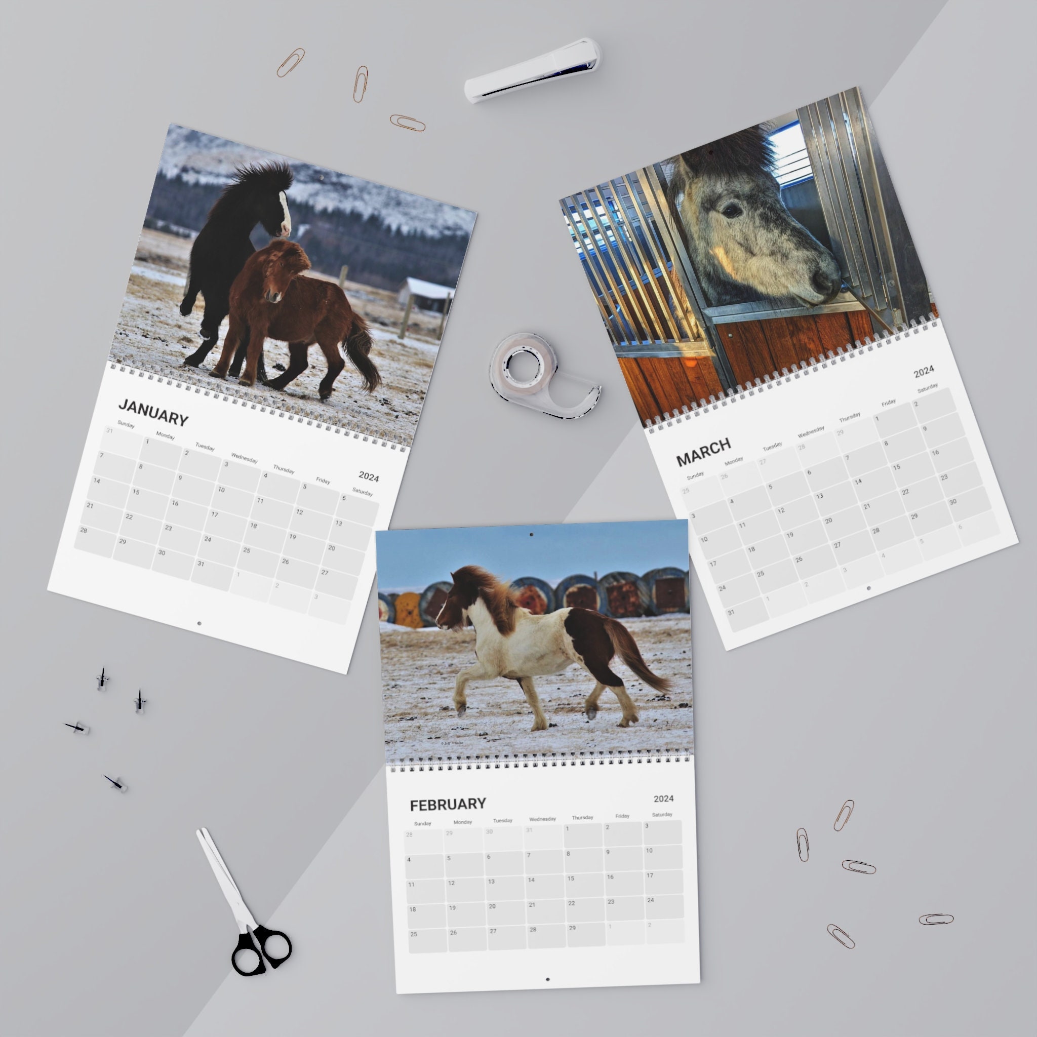 Icelandic Horses Calendar 2025 Etsy
