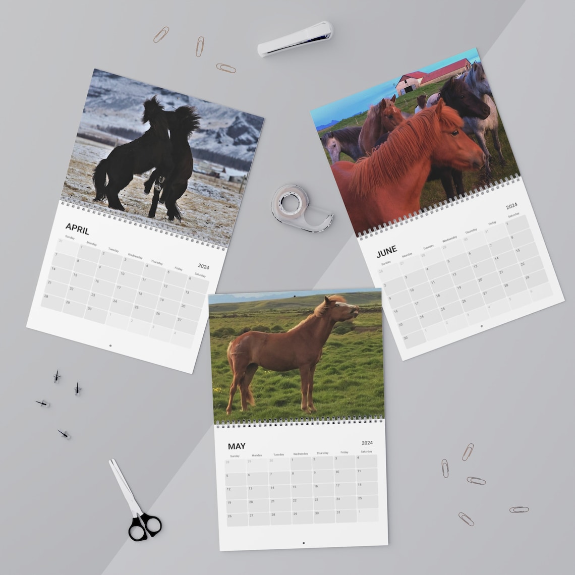 Icelandic Horses Calendar 2024 Etsy