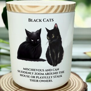 Bougie Traits de chat noir : cadeau amusant pour propriétaire de chat, option de couvercle gravé