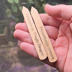 Custom engraved cedar wood plant tags read description