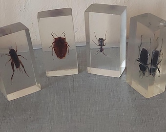 Vintage Epoxy Resin Insects 4 Pieces