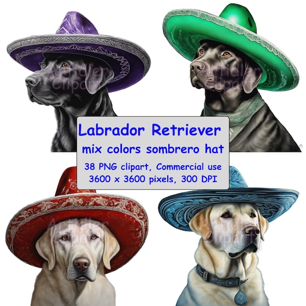 Labrador Retriever Dog | Green Red Pink Purple Rainbow Blue Mexican Sombrero Hat | Clipart Big Bundle | Commercial Use | Digital Download