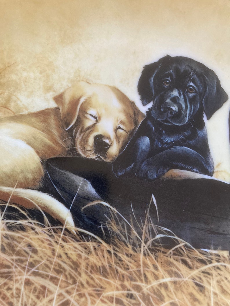 Vintage Knowles Lab Puppies ‘ducking Duty’ Collectors Plate - Etsy