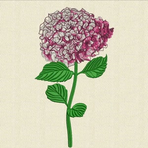 Hortensien Blühende Blumen Stickdatei