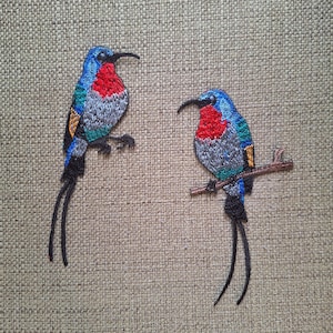 Può includere: Due toppe ricamate raffiguranti uccelli con teste blu vibrante, petti rosso brillante e corpi grigi con accenti alari color turchese e oro. Ogni uccello ha una lunga e sottile coda nera e un becco ricurvo, uno appollaiato su un ramo marrone.