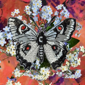 Apollo butterfly reflective embroidered patch