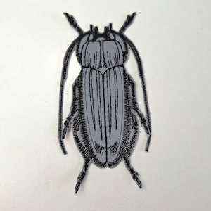 May include: A light grey beetle patch featuring detailed black embroidered outlines and textures. The insect design includes long antennae, segmented wing covers, and visible legs, rendered in a flat, stylised graphic format with clean edges.