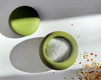 Grüner Salzstreuer, Pinch Pot, Salzschwein, Beton Salz und Pfefferdose mit Deckel, Gewürzdose, Salzbehälter, Salzdose, Salzbox, Pfefferbehälter