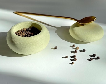 Porta sale con coperchio, saliera in cemento, barattolo colorato, moderna ciotola per sale e pepe, barattolo per spezie ed erbe aromatiche, scatola per sale verde, contenitore per sale