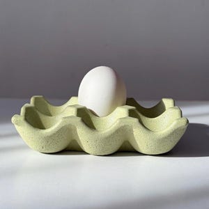 Może przedstawiać: Pojedyncze białe jajko spoczywa w jasnozielonym pojemniku na jajka. Pojemnik ma teksturowaną powierzchnię i falisty kształt. Pojemnik na jajka wykonany jest z porowatego materiału. Tło jest w neutralnym kolorze.