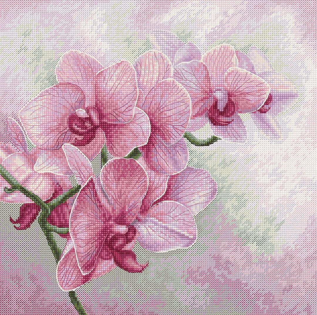 Luca-S Petit Point G709 – Kit Punto Croce 'Il Calore Dell'Amicizia' – 55 Colori, Cotone, 22.5x18 Cm