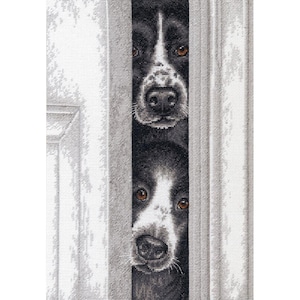 Puede incluir: Dos perros blanco y negro asoman por detrás de una puerta blanca. Los perros tienen ojos marrones y narices negras.