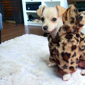 Top hotsell paw jacket
