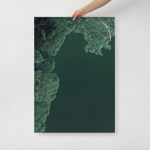 Poster Minimal della Pineta di Sant Elena, laguna di Venezia