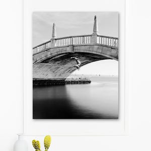 Poster Ponte dell'Arsenale a Venezia, tuffatore