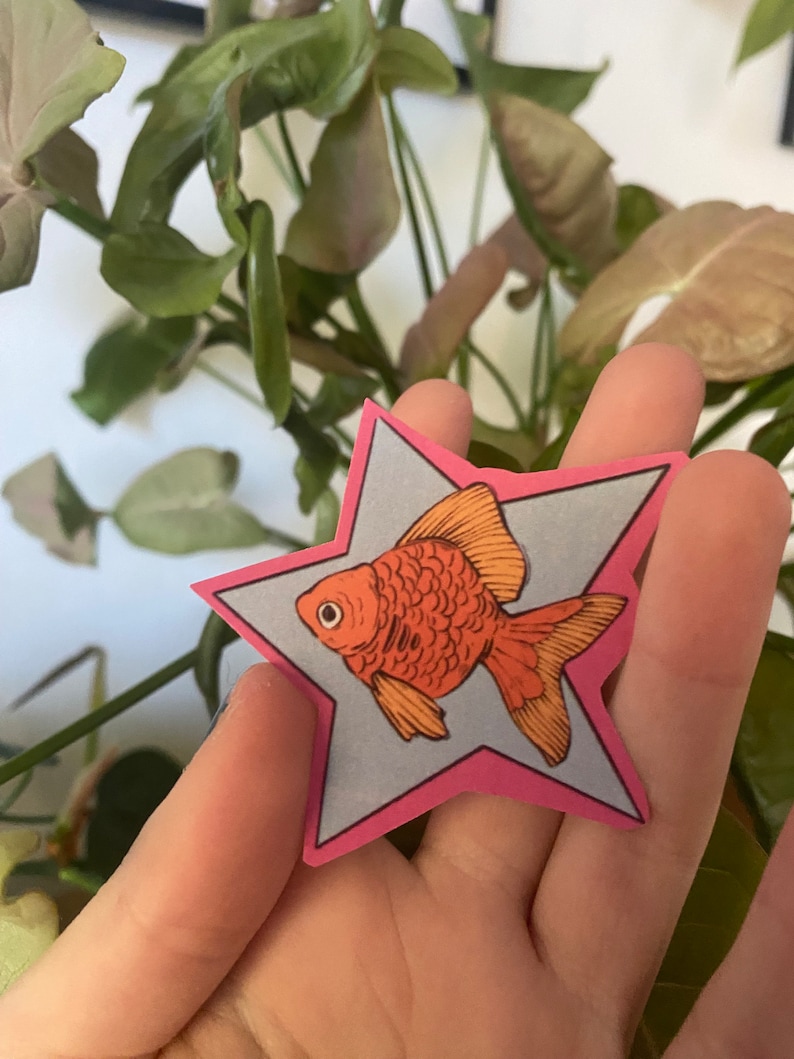 金魚の星のステッカー｜光沢・防水加工 画像 3